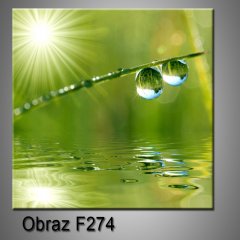 Obraz 1D - 50 x 50 cm F274