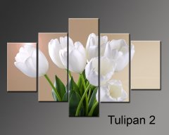 Obraz p�tid�ln� 5D - 125 x 70 cm T2 LIMITED EDITION