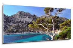 Sklenn obraz   Pin du littoral dans les calanques de Marseille, 120 x 50 cm