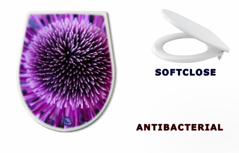 WC sedátko 1125758 - anamone flower - anamone květina