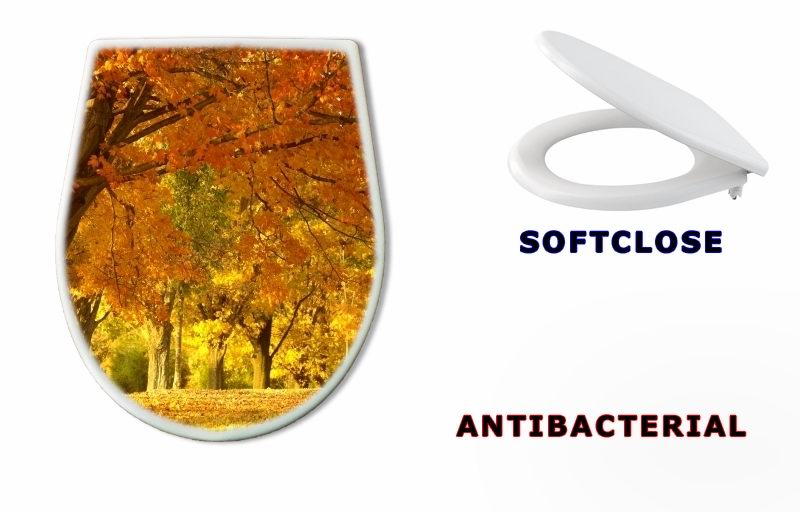 WC sedátko 1452913 - autumn scene - podzimní scéna