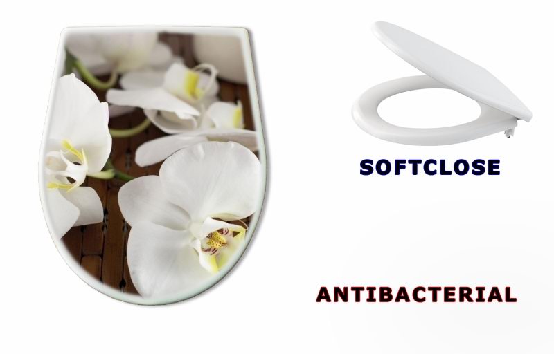 WC sedátko 15837732 - Face cream and white orchid on a bamboo mate - Krém na obličej a bílá orchidej na bambusové kamarádce