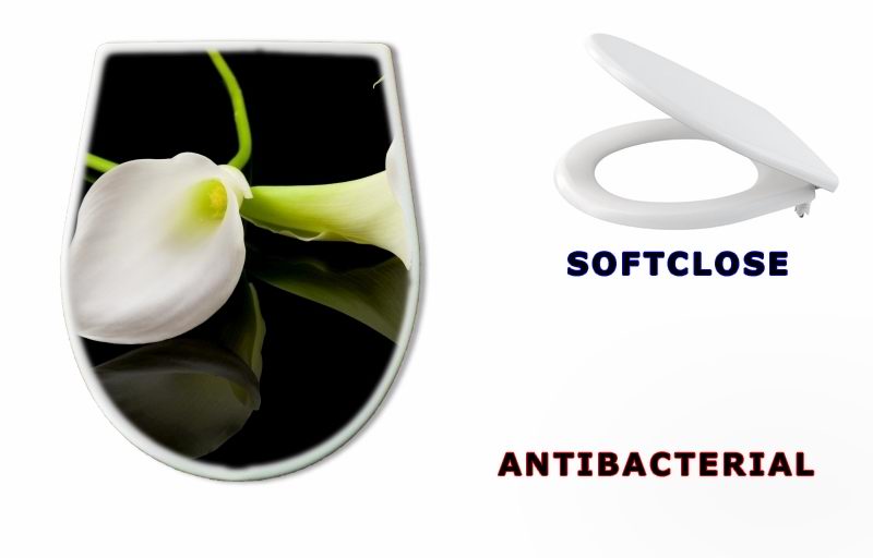 WC sedátko 18443923 - beautiful white Calla lilly over black background - krásná bílá Calla lilly nad černým pozadím