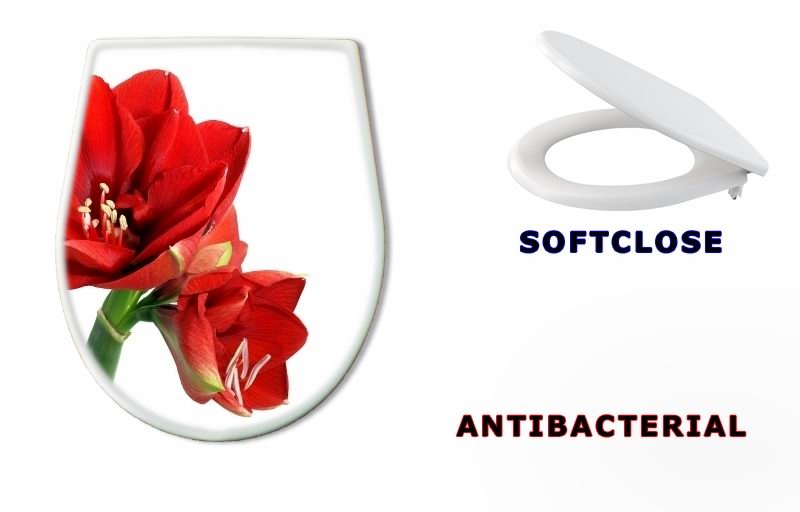 WC sedátko 22252623 - Amaryllis flower - Amaryllis květina