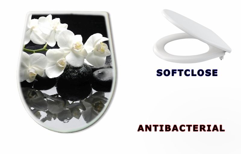 WC sedátko 28907767 - Close up white orchid with stone water drops - Zavřete bílou orchidej s kamennými vodními kapkami