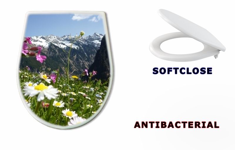 WC sedátko 31412665 - Blumenwiese mit Gebirge im Hintergrund - Květinová louka s horami v pozadí