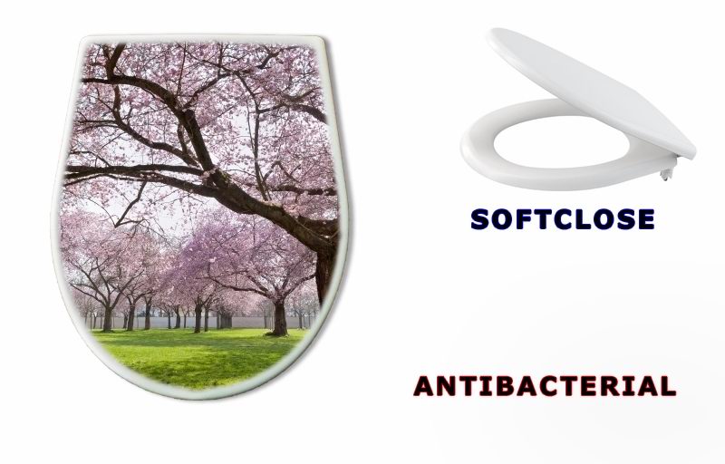 WC sedátko 34040343 - Sakura