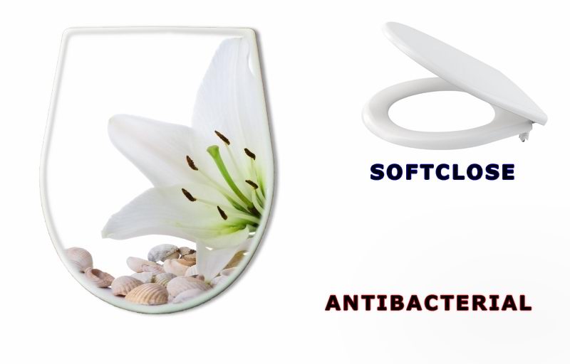 WC sedátko 3753858 - spa flower towel sea shell on white - lázeň květ ručník mořské skořápky na bílém