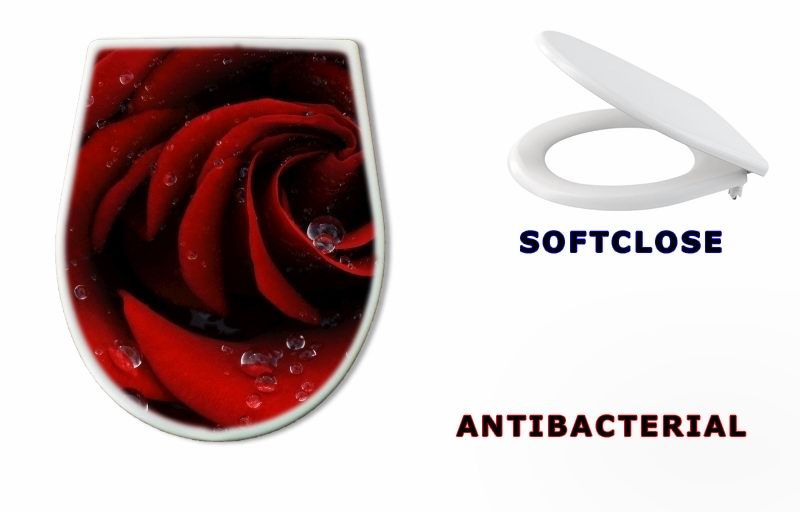 WC sedátko 41252585 - Red rose closeup - Červená růže detailní