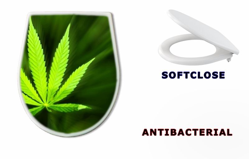 WC sedátko 42226543 - Marijuana background - Marihuana pozadí