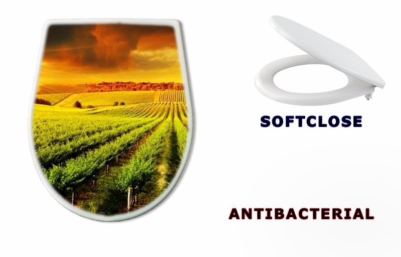 WC sedátko 42395057 - Stunning Vineyard Sunset - Ohromující západ slunce na vinici