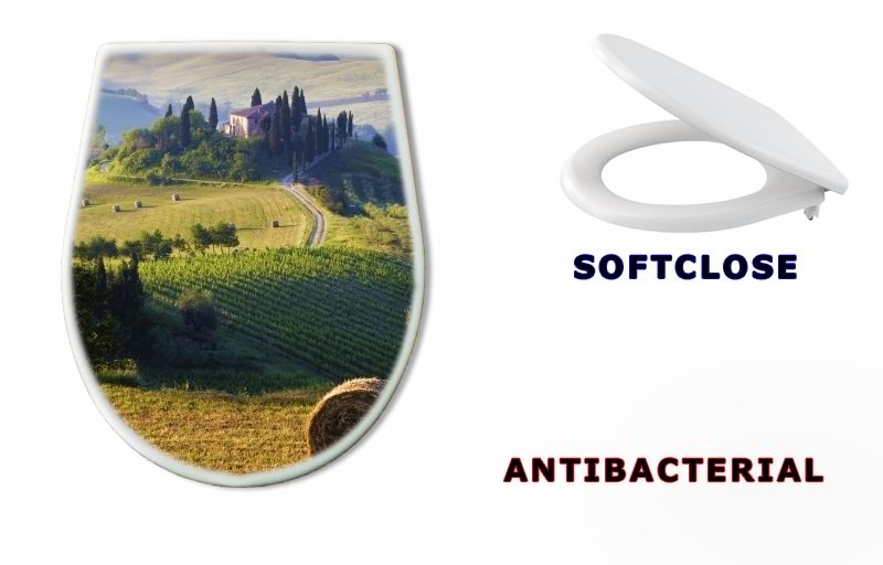WC sedátko 42858782 - Paesaggio toscano. Podere, campo di grano