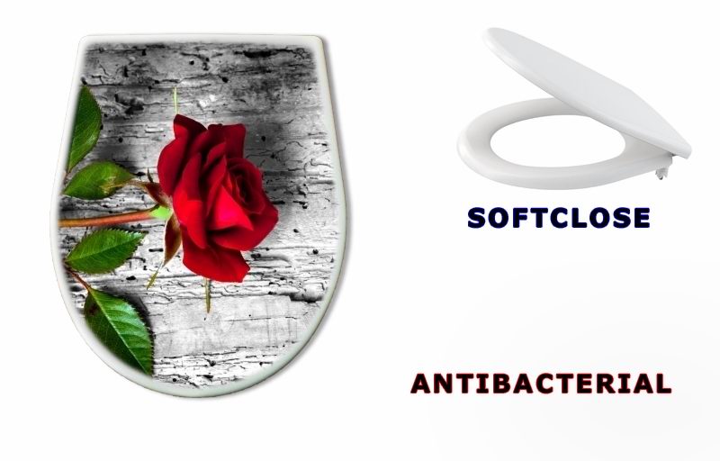 WC sedátko 43494940 - rosa rossa su fondo b/n - rosa rossa su fondo b / n