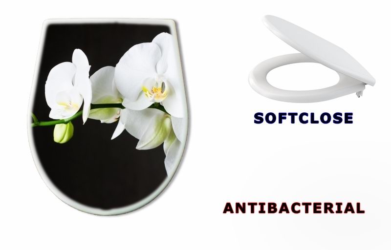 WC sedátko 44550802 - Close-up of white orchids (phalaenopsis) against dark background - Zavřít