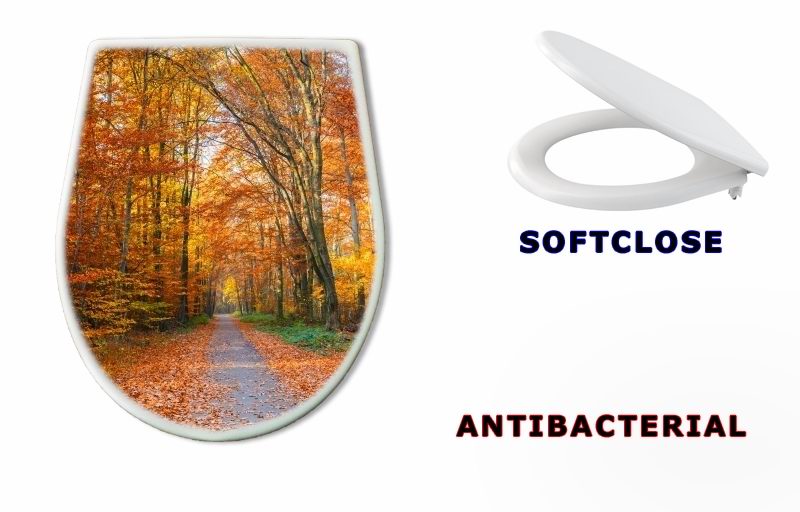 WC sedátko 44662629 - Pathway in the autumn forest - Cesta v podzimním lese