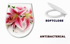 WC sedtko Lily