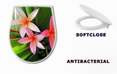 WC sedátko 23491751 - Plumeria flowers