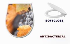 WC sedátko 26469796 - Lush, Ripe Wine Grapes with Mist Drops on the Vine