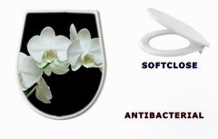 WC sedtko White orchid on black background