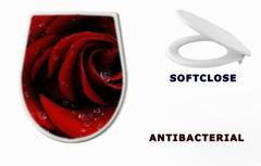 WC sedtko Red rose closeup