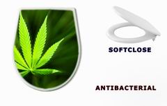 WC sedtko Marijuana background
