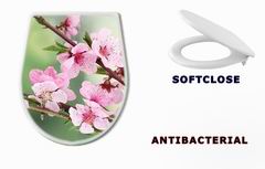 WC sedtko beautiful pink peach blossom on green background