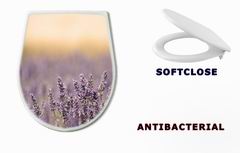WC sedátko 44549879 - Summer Meadow with Flower. Lavender.