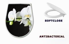 WC sedtko Close up of white orchids (phalaenopsis) against dark background