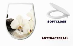 WC sedtko Spa stones and orchid flowers, isolated on white.
