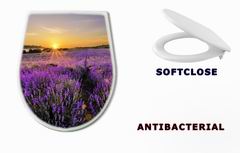 WC sedátko 53493783 - Sunset over lavender field